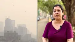 मुंबईतील प्रदूषण