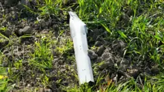 緑の草が生えた地面に、白色の細長い破片が落ちている