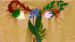 ਔਰਤਾਂ ਦੀ ਸਿਹਤ