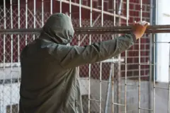Милиция