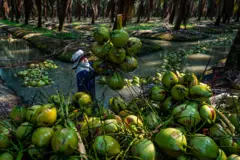 Arnun Chonmahatrakool / Thai New Pix