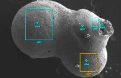 ภาพขยายชิ้นส่วนอุกกาบาตเม็ดเล็กจิ๋วหรือ “สเฟียรูล” (spherule) หมายเลข 21 ซึ่งได้จากก้นมหาสมุทรแปซิฟิก