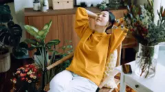 ต้นไม้ในบ้านดูสวยงาม แต่ช่วยฟอกอากาศแค่ไหน