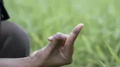 इस शहर में हर तरफ़ है प्रदूषण की महीन परत