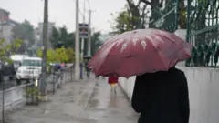 प्री-मनसुन