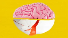 Image combinée d'un cerveau et d'un oeuf.