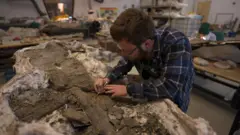Homem estudando um osso gigante em uma oficina de museu