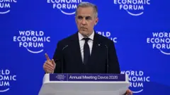 حذر رئيس الوزراء الكندي مارك كارني مؤخرا من "شرخ" في النظام العالمي الذي تقوده الولايات المتحدة