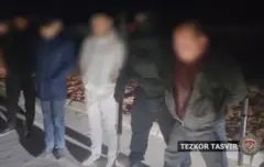 Ўзбекистонда 15 суткагача маъмурий қамоқ жазосини қўллаш ҳолатлари ошган. 