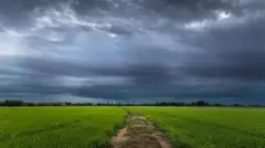ગુજરાત હવામાન, વરસાદ, ચોમાસું