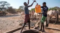 د سږ کال په پیل کې په سومالیا کې شاوخوا ۴.۴ میلیونه خلک د خوراکي توکو له جدي کمښت سره مخامخ وو.