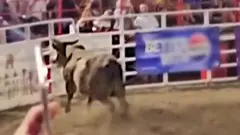 لحظة قفز ثور روديو على سياج الساحة وصدمة الجماهير