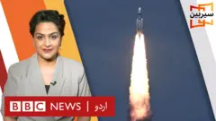 سیربین