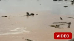 காணொளி: கிட்டத்தட்ட 200 பேரின் உயிரைப் பறித்த கால்மேகி புயல்