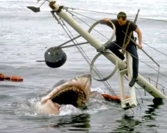 En el set de grabación de Tiburón, el actor Roy Schnieder está parado sobre los restos de un barco que se hunde mientras el tiburón lo espera con la boca abierta en el agua.