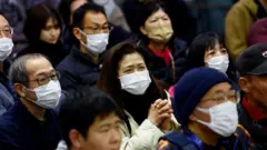 Japoneses acompanham pouso de sonda