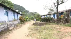 மாஞ்சோலை