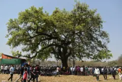 পশ্চিমবঙ্গে একটি দলের রাজনৈতিক সভার আগে গাছতলায় বিশ্রাম নিচ্ছেন কর্মী-সমর্থকরা। মার্চ ২০২৪