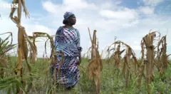 Agbẹ kan ninu oko rẹ