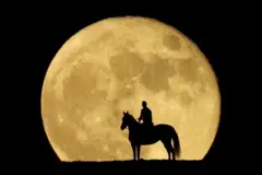 ক্যামেরাবন্দি ২০২৩ 