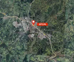 ካርታ
