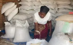 Umugore urimo kugenzura umuceri awushyize mu kiganza aho uhunitse