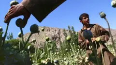 మాదక ద్రవ్యాలు