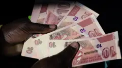 የዚምባብዌ የመገበያያ ገንዘብ 