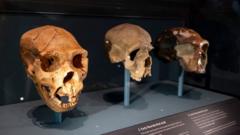 Cráneos prehistóricos