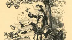 ஐசாக் நியூட்டன் தலையில் ஆப்பிள் விழவே இல்லையா? ஈர்ப்பு விசையை எப்படி கண்டுபிடித்தார்?