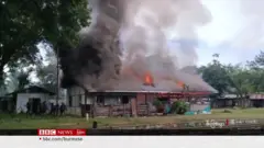 ပြည်နယ်တိုင်း ၃ ခုမှာ တိုက်ပွဲပြင်ပ အရပ်သားသေဆုံးမှု ၅၀ ကျော်ရှိ