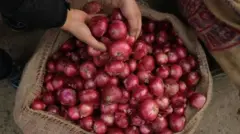 পেঁয়াজের ঘাটতির আশঙ্কায় ডিসেম্বরে তা রফতানি বন্ধ করে দেয় ভারত সরকার। 