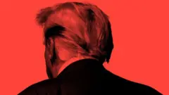 డోనల్డ్ ట్రంప్, యూరప్, అమెరికా