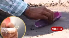 ఉప్పాడ 