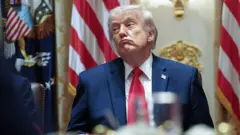 ABD Başkanı Donald Trump