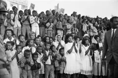 Namoonni daandii gubbaa bitaafi mirga dhaabachuun gammachuun simatani