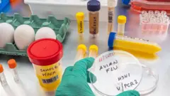 Bancada de laboratório com equipamentos para detecção do influenza H5N1