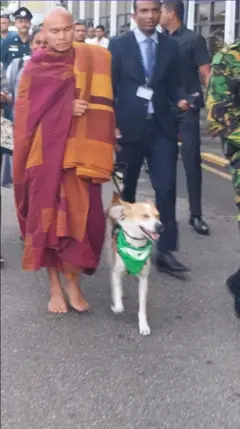 සුනඛයෙකුගේ කර පටියෙන් අල්ලාගෙන හාමුදුරුවන් කෙනෙක් ගමන් කරන අතර තවත් පිරිසක් පිටුපසින් පෙනේ.