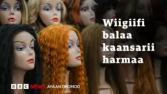 Wiigiifi balaa fayyaa qabu