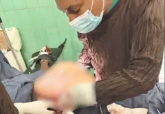 Ogeessa fayyaa wallaansa baqaqsanii yaaluu kennaa jiru