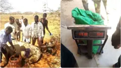 Baaletti gaala tokko keessaa dhagaa fi cirrachi gara KG 50 madaalu bahe