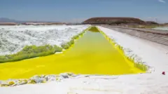 Piscina amareladabetano uptodownárea plana e desértica 