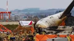 विमानात 175 प्रवासी आणि 6 क्रू मेंबर होते.