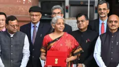 నిర్మలా సీతారామన్, ఓటాన్ అకౌంట్ బడ్జెట్ 