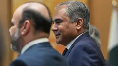 وزير الداخلية الباكستاني محسن نقوي