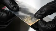 Primer plano de una bolsa de muestra de polvo de nitazeno en el Centro de Investigación y Educación en Ciencias Forenses de EE.UU. el 20 de octubre de 2023.