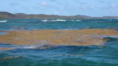 प्रातिनिधिक फोटो