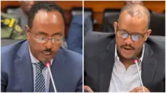 አምባሳደር ሬድዋን እና አቶ ጌታቸው ረዳ 