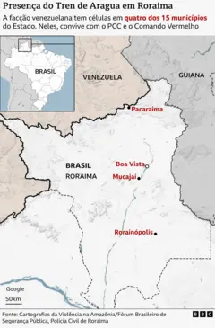 Mapa da presença do TDA em Roraima