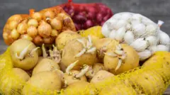 कांदे बटाटे